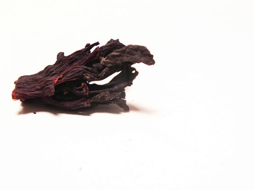 Estratto di Rissoella Verruculosa